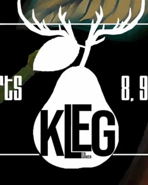 Festival de Kleg 2027