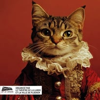 Festival du Théâtre Amateur Ploeren