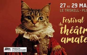 Festival du Théâtre Amateur Ploeren