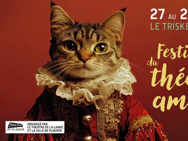Festival du Théâtre Amateur Ploeren