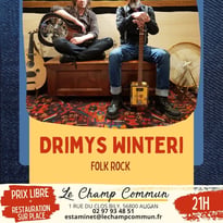 Drimys Winteri - Folk rock