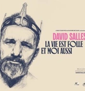 David Salles, La Vie est Folle et Moi Aussi