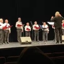 Chœur d'hommes Diapas'Hom