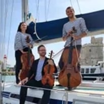 Violoncelle en Voile