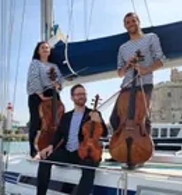 Violoncelle en Voile