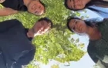 Quatuor Con Spirito