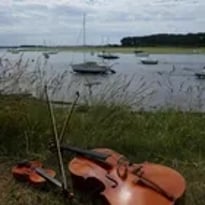 Cap à l'Est ! Les archets dansants traversent les courreaux