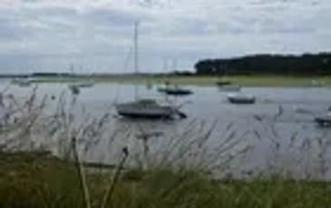 Cap à l'Est ! Les archets dansants traversent les courreaux