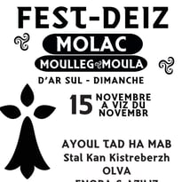 24e Fest-deiz de Molac