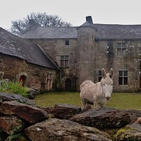Visite guidée d'un manoir breton du XVe siècle en cours de restauration