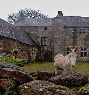 Visite guidée d'un manoir breton du XVe siècle en cours de restauration