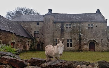 Visite guidée d'un manoir breton du XVe siècle en cours de restauration