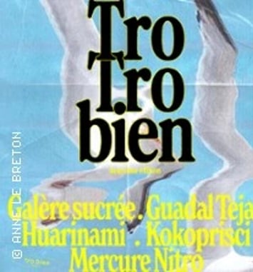 Tro Bien Festival #2