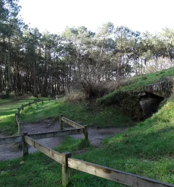 Enquête Mégalithique : Le trésor perdu de la Rivière d'Auray