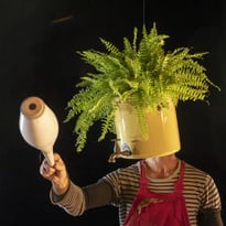 Radiovolca – Cie Content pour Peu
