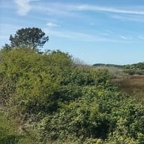 Balade des Culs salés