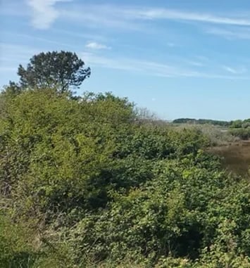 Balade des Culs salés