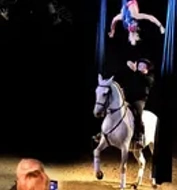 Cabaret équestre Les Chevaux Dansent à la Bodega