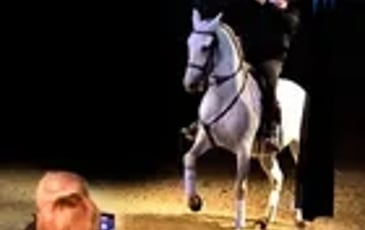 Cabaret équestre Les Chevaux Dansent à la Bodega
