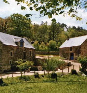 Visite guidée et fabrication de pain à l'ancienne