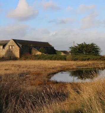 Découverte de la ferme de la Villeneuve