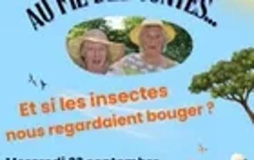Au fil des contes Et si les insectes nous regardaient bouger ?