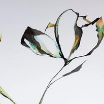 Exposition "A fleur de" - Amandine Mettier