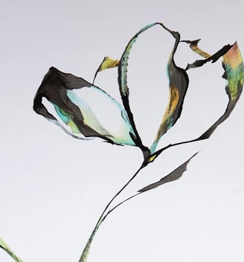 Exposition "A fleur de" - Amandine Mettier