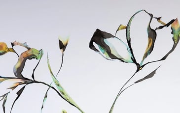 Exposition "A fleur de" - Amandine Mettier