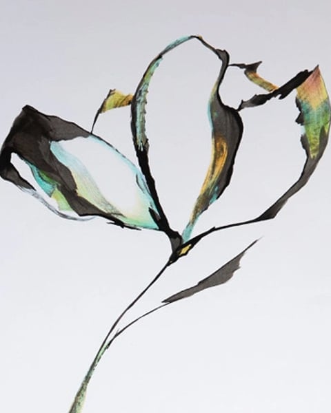 Exposition "A fleur de" - Amandine Mettier