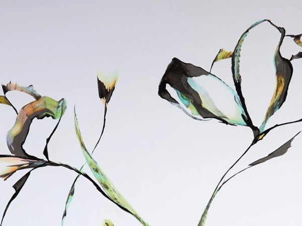Exposition "A fleur de" - Amandine Mettier