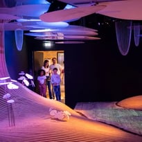 Visite gratuite du Musée Immersif Yves Rocher
