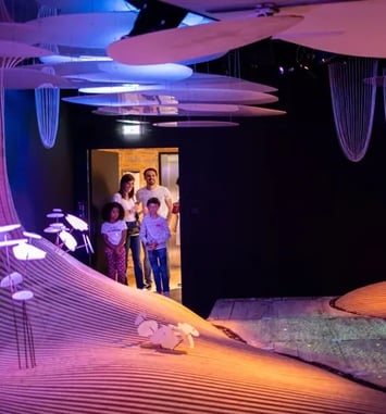 Visite gratuite du Musée Immersif Yves Rocher