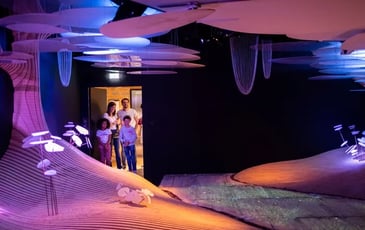 Visite gratuite du Musée Immersif Yves Rocher