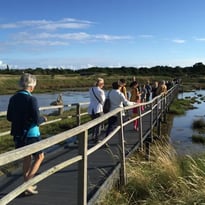 Visite de la Réserve naturelle des marais de Séné