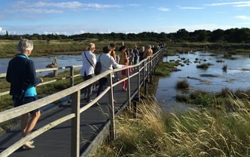 Visite de la Réserve naturelle des marais de Séné
