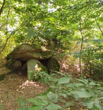 Découverte du Dolmen du Palastre
