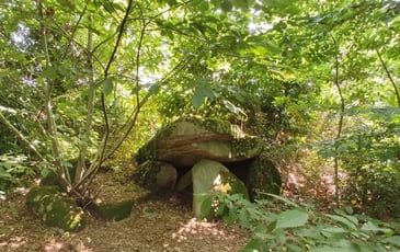 Découverte du Dolmen du Palastre