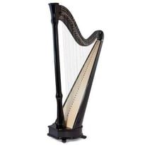 Concert de Harpe celtique de Monsieur Bertrand