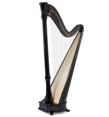 Concert de Harpe celtique de Monsieur Bertrand