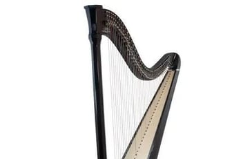 Concert de Harpe celtique de Monsieur Bertrand