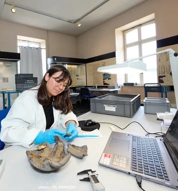 Le chantier des collections : rendre visible l'invisible