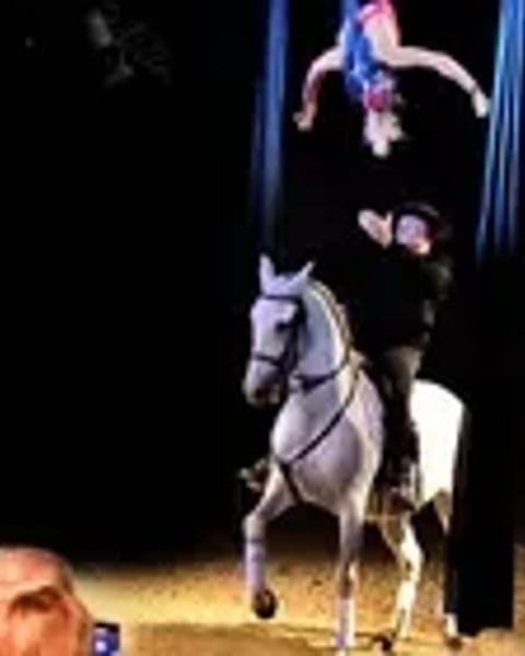 Cabaret équestre Les Chevaux Dansent à la Bodega