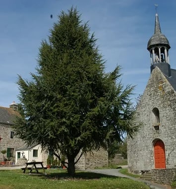 Visite de la chapelle Sainte-Barbe