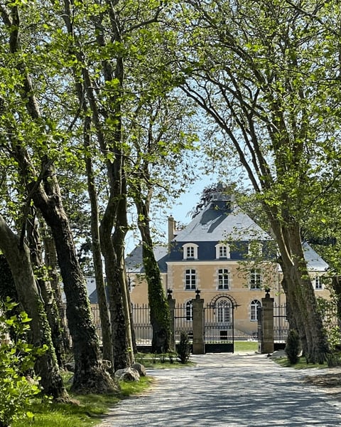 Château du Mezo