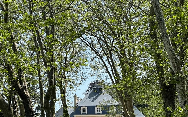 Château du Mezo