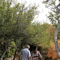 Balade à la découverte des chemins de Plouharnel