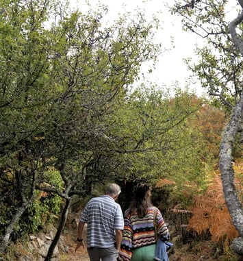 Balade à la découverte des chemins de Plouharnel