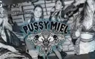 Concert de Pussy Miel