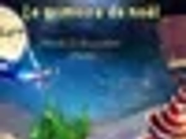Spectacle équestre : le grimoire de Noël